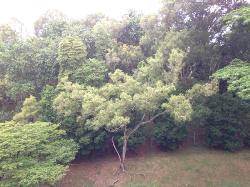 Clementi Park (D21), Condominium #1042772
